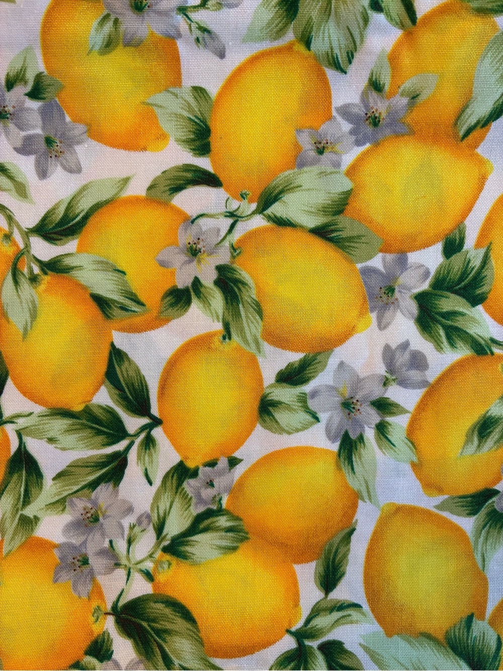 “Home Grown”  1 yard 100% cotton Lemon Print Hoffman Intl Fabric